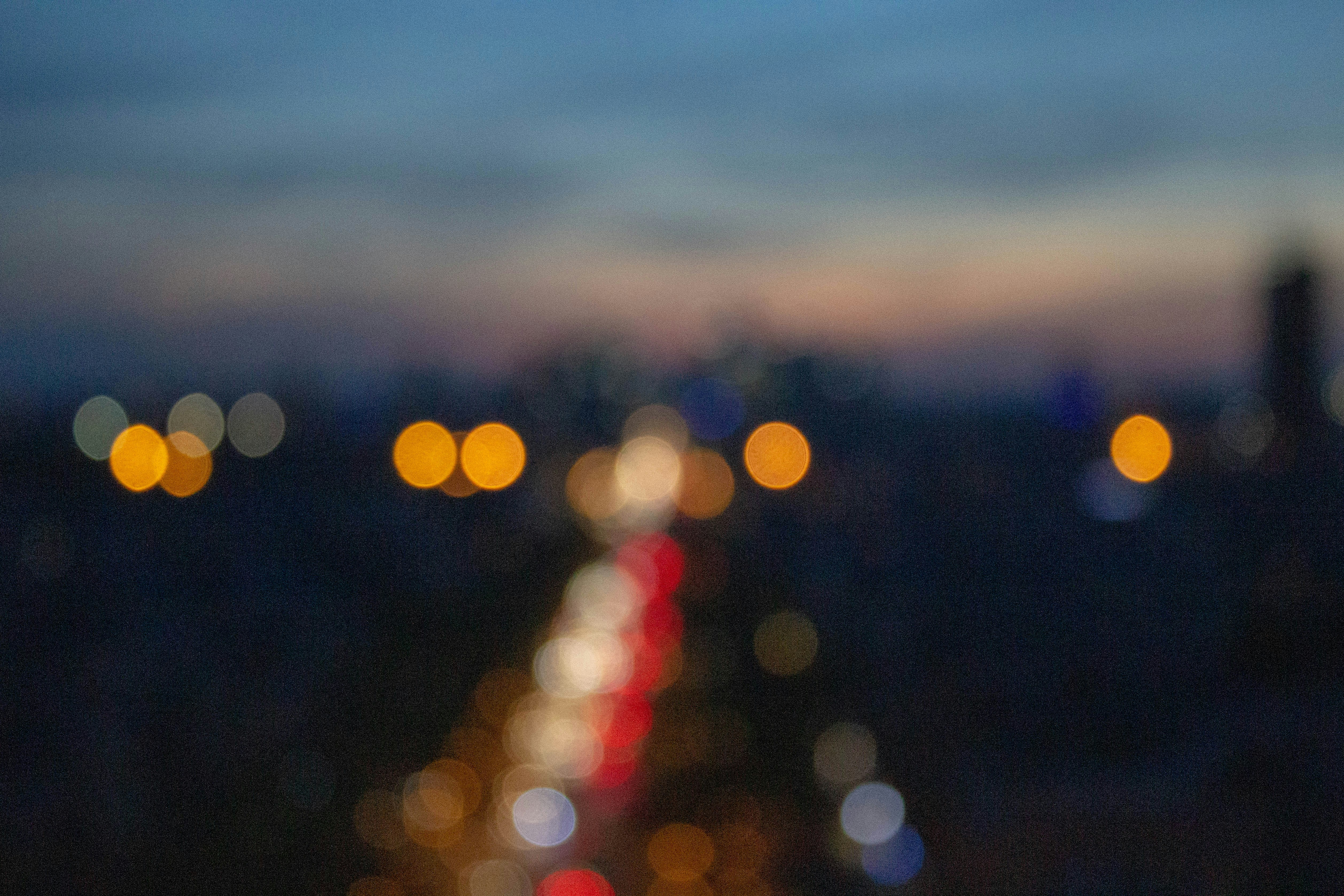 Flutter Services Company